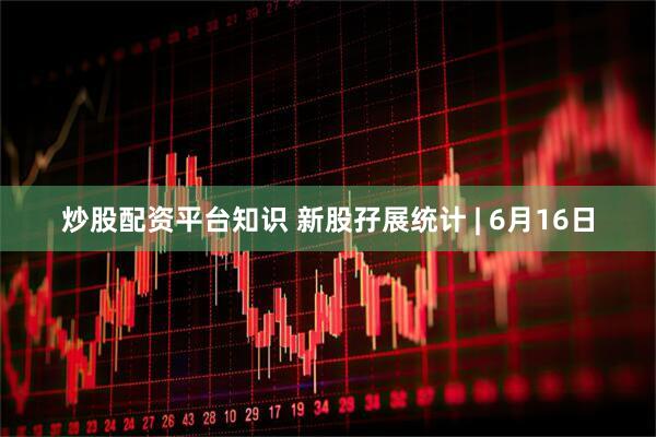 炒股配资平台知识 新股孖展统计 | 6月16日